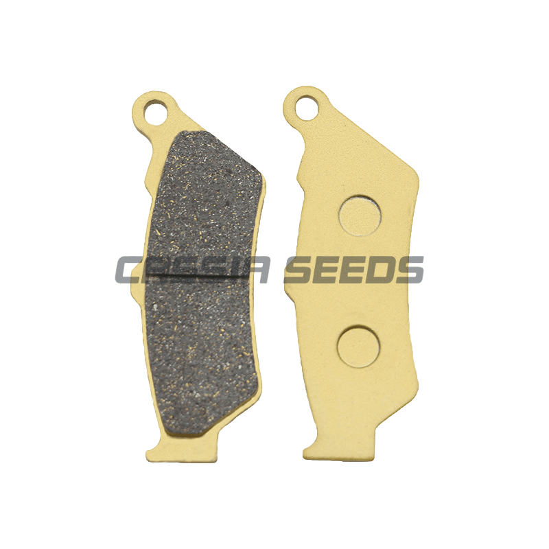 MOTORCYCLE FRONT AND REAR BRAK - Carbon Ceramic Motorcycle Brake Rotor 评论和价格
